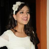 Madalasa Sharma at Feel My Love Press Meet - Pictures | Picture 96494